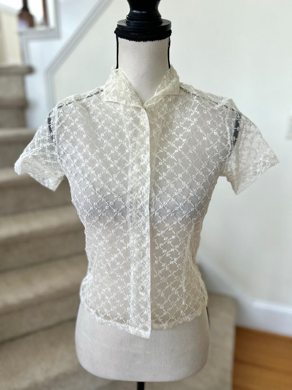 Y2K Sheer Eyelet Lace Short Sleeve Collared Button Down Coquette Whimsygoth